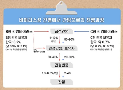 B형 간염바이러스는 급성간염 또는 영유아 수직 감염으로 만성간염, 보유자로 진행 C형 간염바이러스는 급성간염으로 진행, 급성간염, 만성간염, 간경변증, 간암 단계로 진행